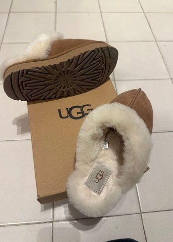 Ugg terlik - Görsel 3