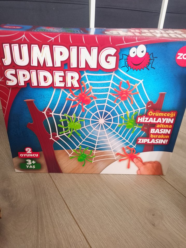 Renkli Örümcek ve Örümcek Ağı Oyunu - Görsel 2