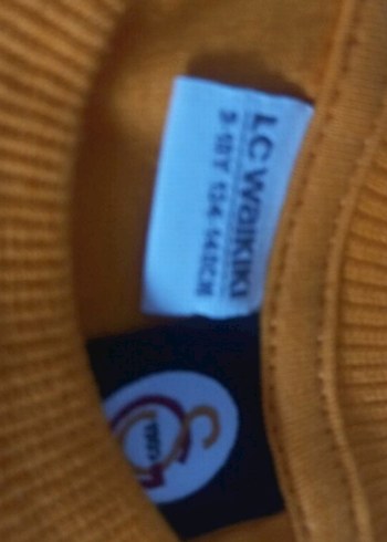 Galatasaray Erkek cocuk Turuncu Kısa Kollu Tişört - Görsel 2