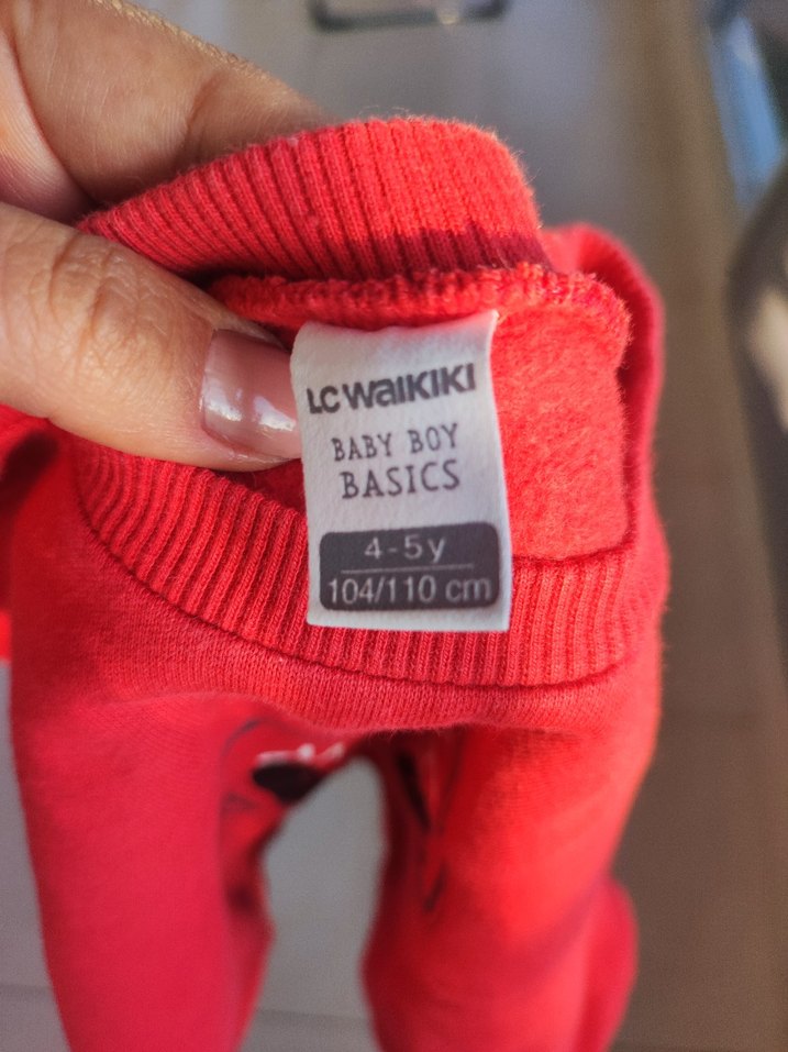 Erkek Çocuk Kırmızı Baskılı Sweatshirt - Görsel 3