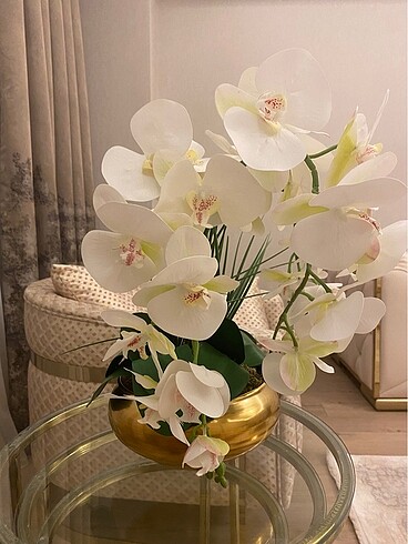Yapay orkide