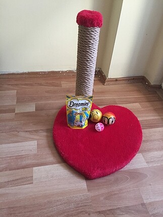 Kedi oyuncağı