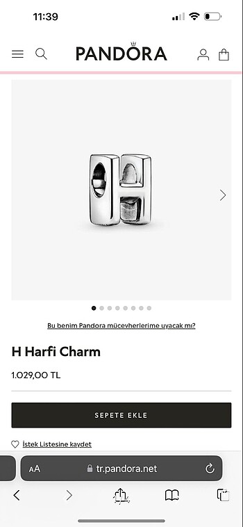 Pandora charm