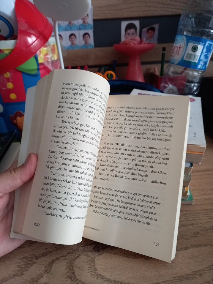 Haritada Kaybolmak - Vladimir Tumanov - Görsel 2