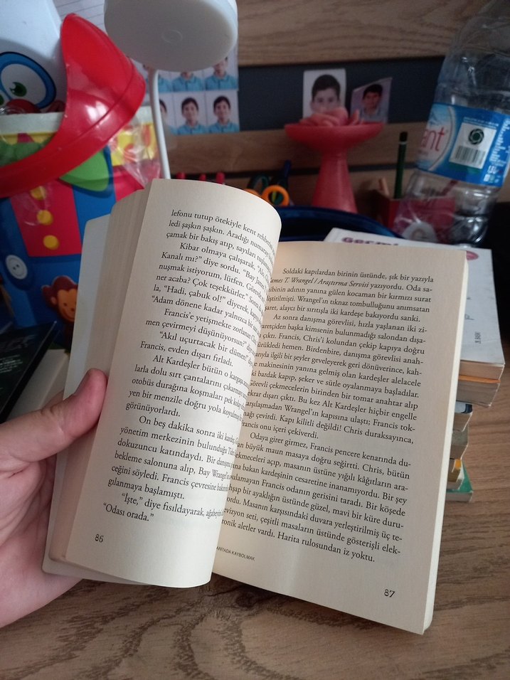 Haritada Kaybolmak - Vladimir Tumanov - Görsel 4