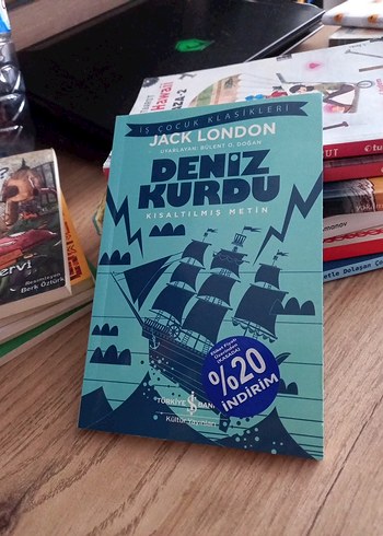 Beden Renk Deniz Kurdu