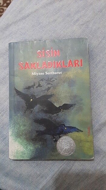 Sisin Sakladıkları 