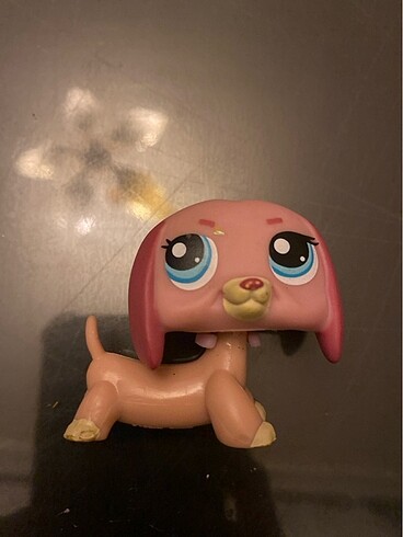  Miniş
