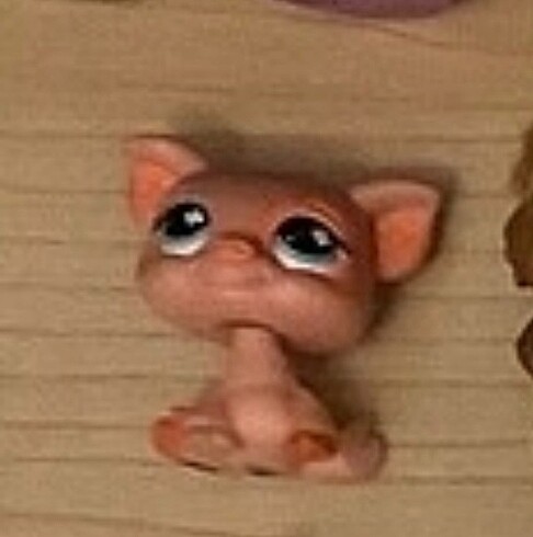 Lps minişler