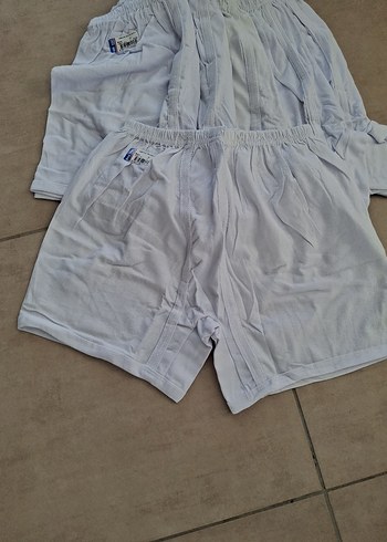 Beyaz Erkek Mini Boxer - Görsel 3