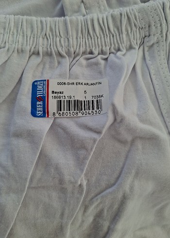 Beyaz Erkek Mini Boxer - Görsel 4