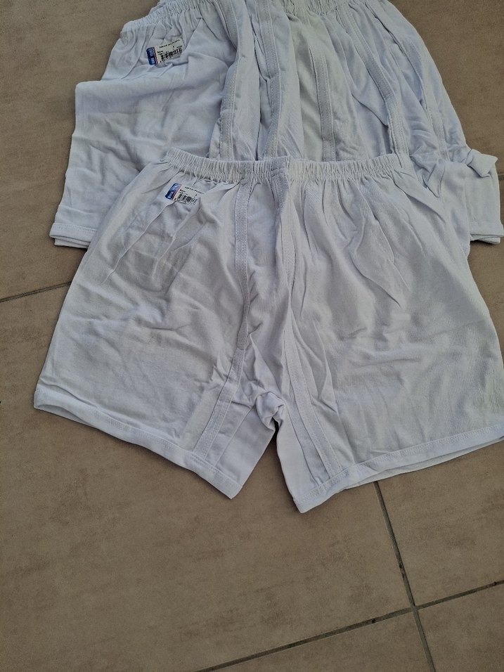 Beyaz Erkek Mini Boxer - Görsel 3