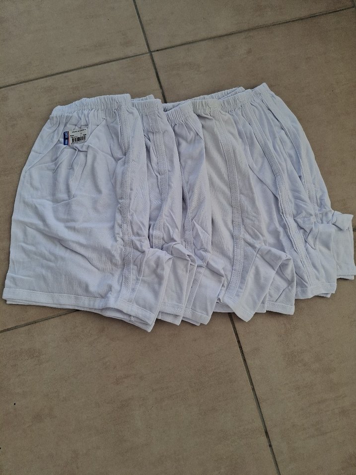 Beyaz Erkek Mini Boxer - Görsel 2