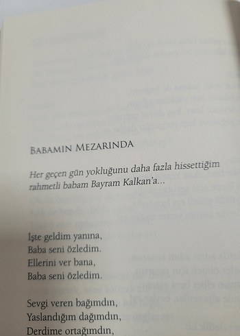 Gök Aradık Tuğlara - Mehmet Ali Kalkan - Görsel 5