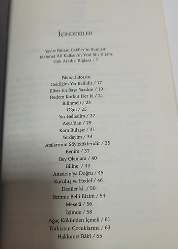 Gök Aradık Tuğlara - Mehmet Ali Kalkan - Görsel 3