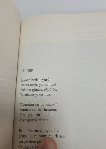 Gök Aradık Tuğlara - Mehmet Ali Kalkan - Görsel 6