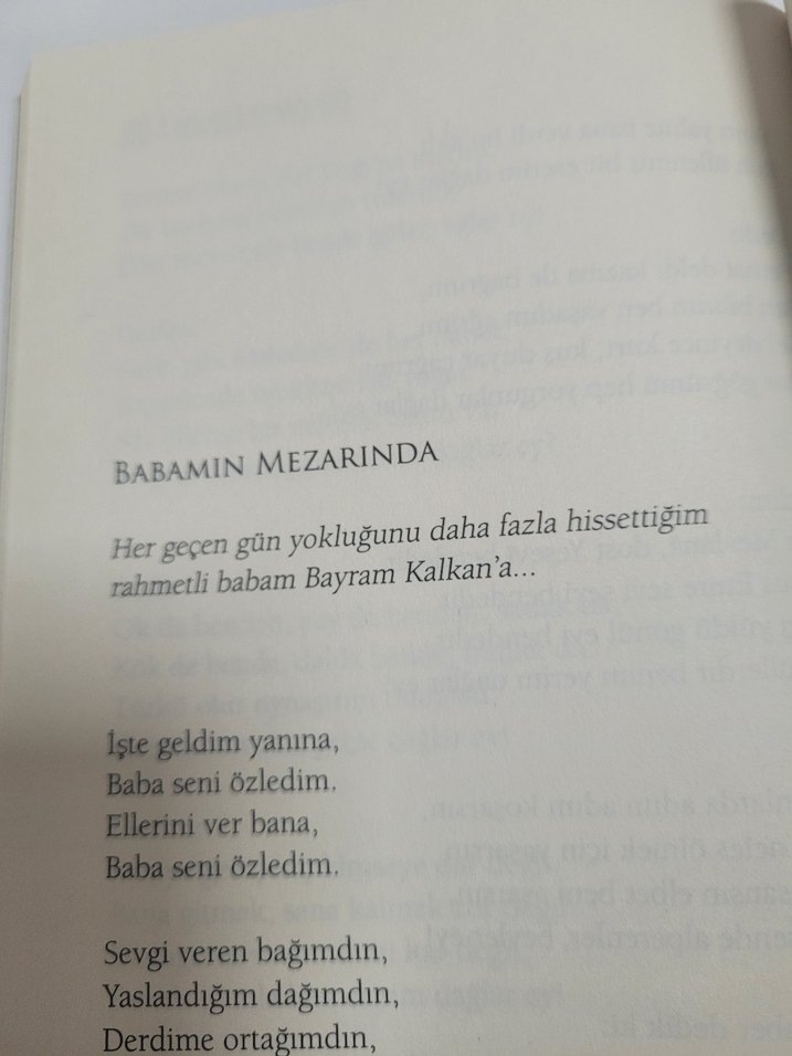 Gök Aradık Tuğlara - Mehmet Ali Kalkan - Görsel 5
