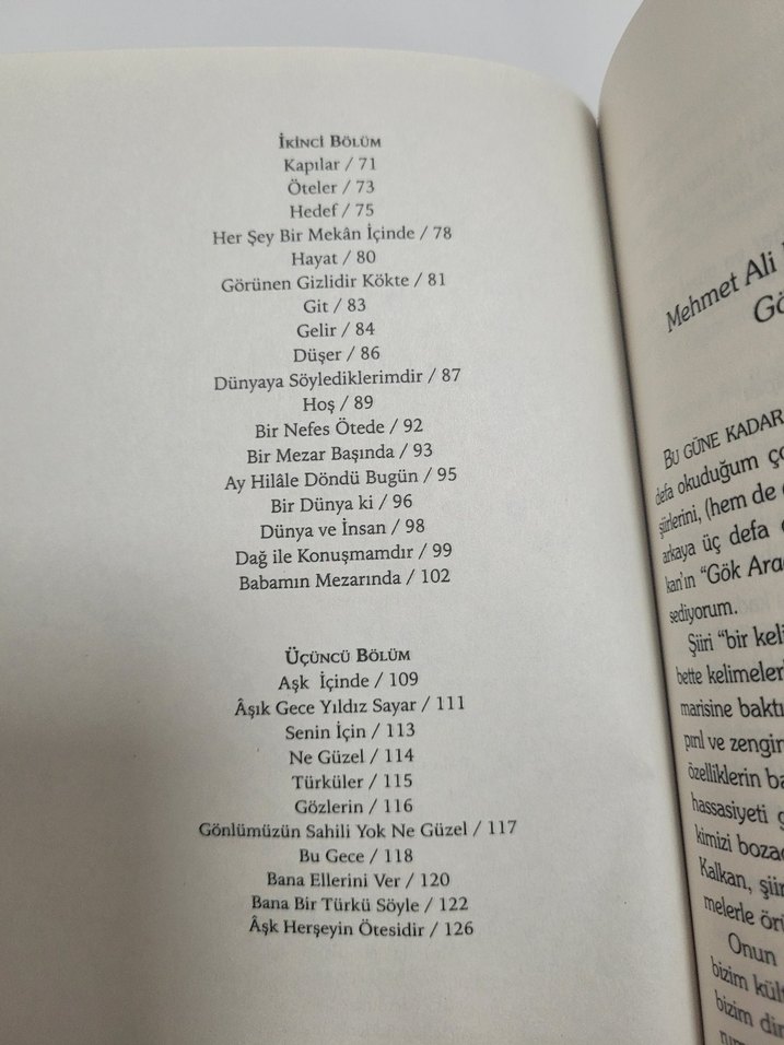 Gök Aradık Tuğlara - Mehmet Ali Kalkan - Görsel 4