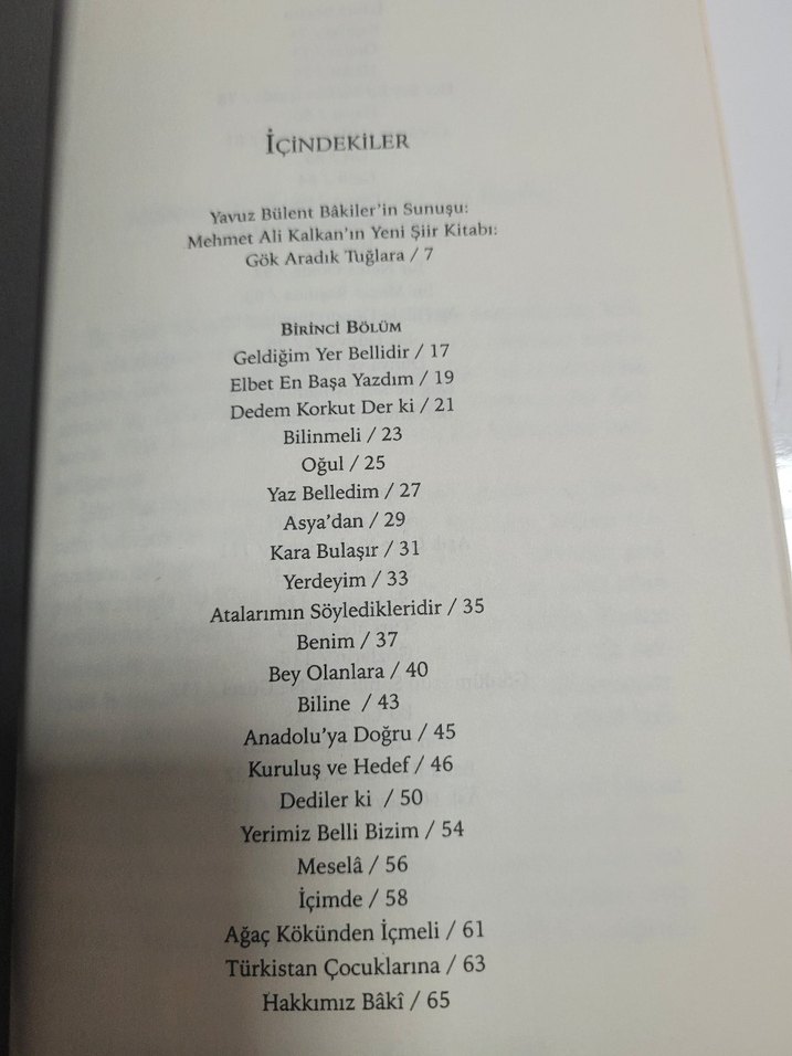 Gök Aradık Tuğlara - Mehmet Ali Kalkan - Görsel 3