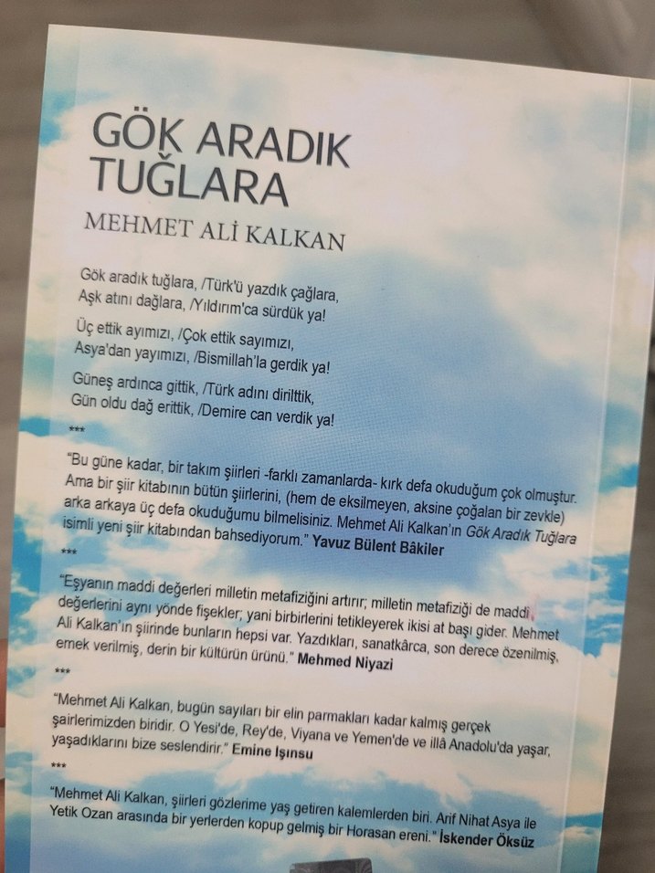Gök Aradık Tuğlara - Mehmet Ali Kalkan - Görsel 2