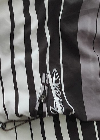 reef surf Zebra Desenli Fermuarlı Erkek Mayo - Görsel 6