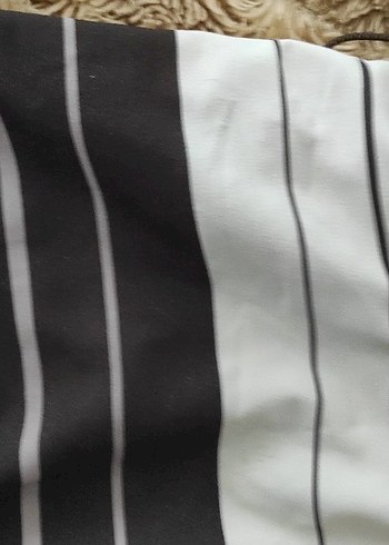 reef surf Zebra Desenli Fermuarlı Erkek Mayo - Görsel 4