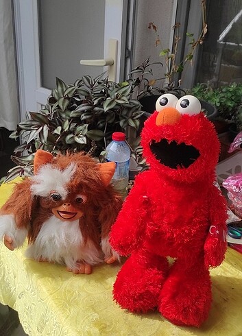 Elmo ve gizmo