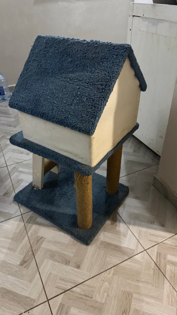 Kedi Evi ve Tırmanma İstasyonu - Görsel 2