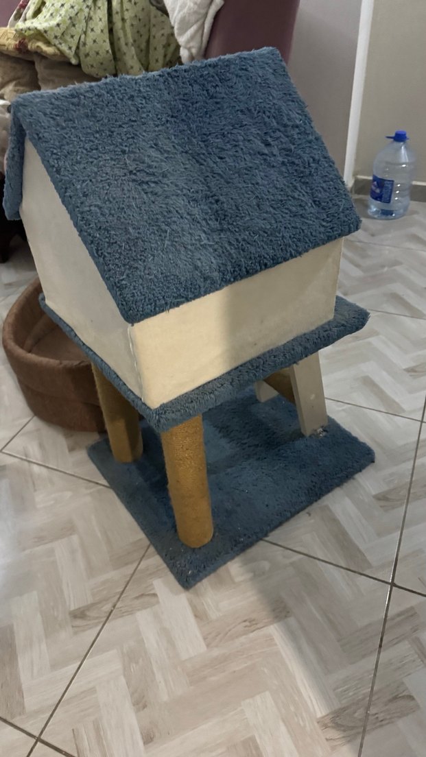 Kedi Evi ve Tırmanma İstasyonu - Görsel 3