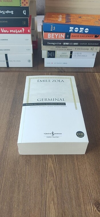 Germinal Emile Zola 