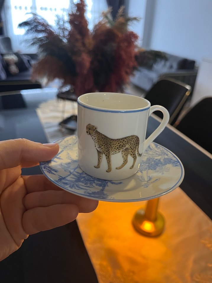 Mavi çizgili leopar desenli fincan ve tabak - Görsel 2