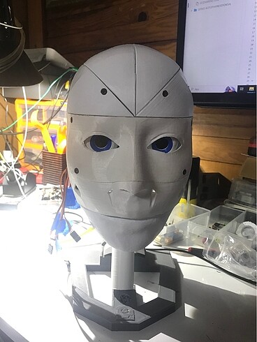 Hareketli Robot kafa - Görsel 5