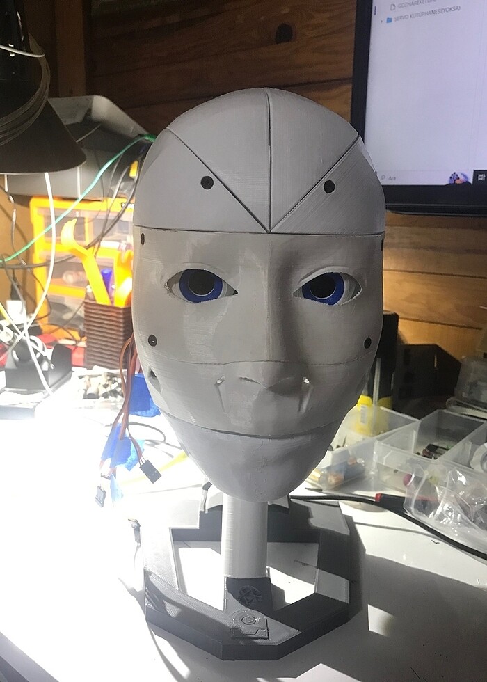 Hareketli Robot kafa - Görsel 5