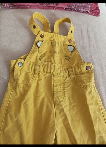 LC Waikiki Lc Waikiki erkek salopet
