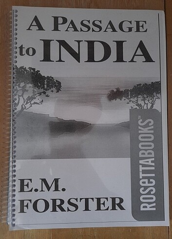 a passage to india ingilizce roman e. m. forster english book