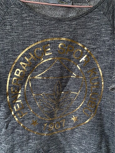 Fenerium Fenerbahçe sweat