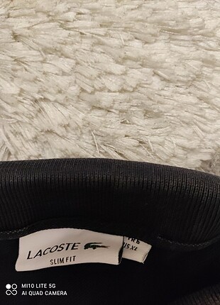 Lacoste Orjinal