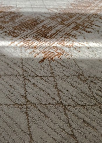 Bej ve kahve  Modern Halı - Görsel 2