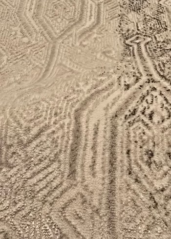 Gri beyaz Modern Klasik Halı 6m2 - Görsel 2