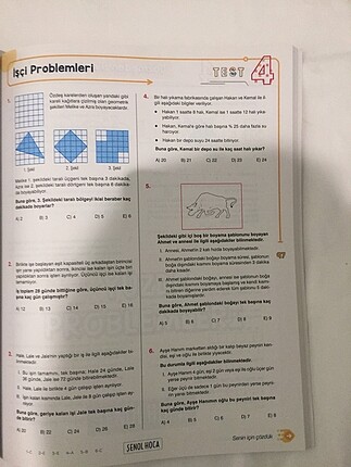 Beden Problemler Şenol Hoca