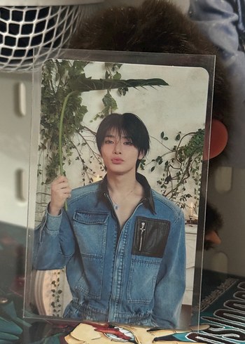 Stray Kids jeongin