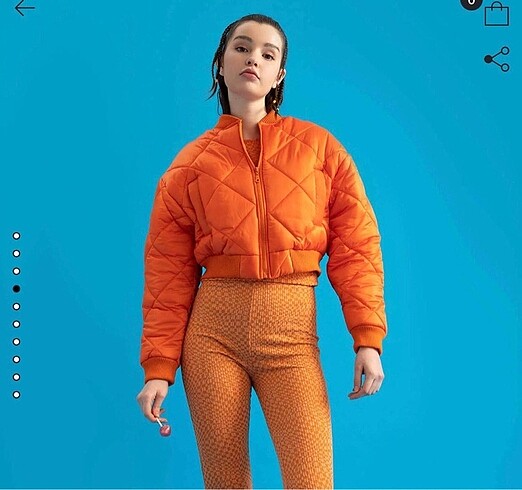 Bomber mont