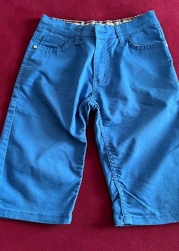 Burberry Canli Mavi Erkek Bermuda Sort