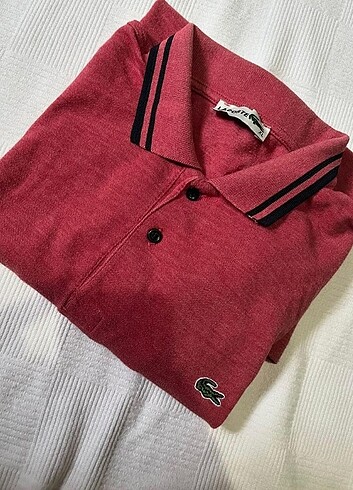 Lacoste Erkek Tshirt 