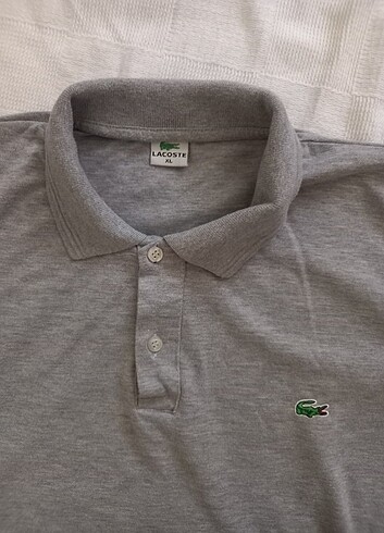 Lacoste Erkek Tshirt 