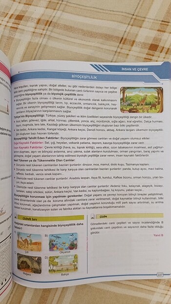 5.sınıf - Görsel 4