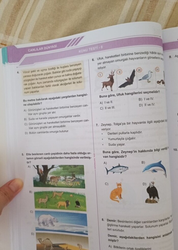 5.sınıf - Görsel 3