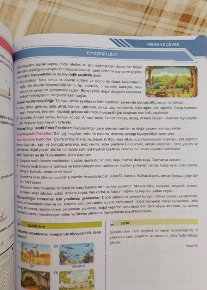5.sınıf - Görsel 4