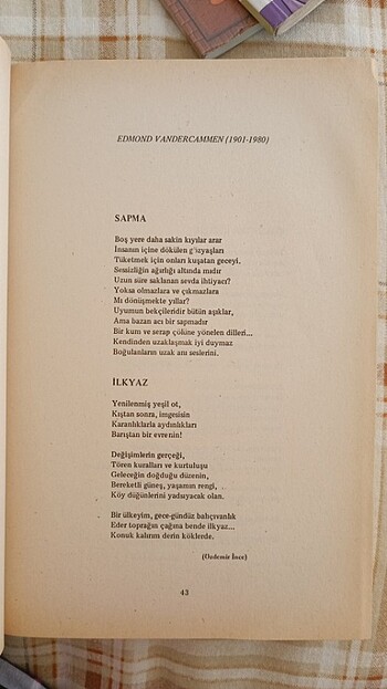 Dünya şiiri antolojisi  - Görsel 3