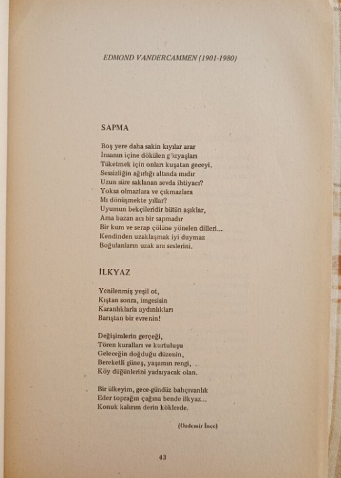 Dünya şiiri antolojisi  - Görsel 3